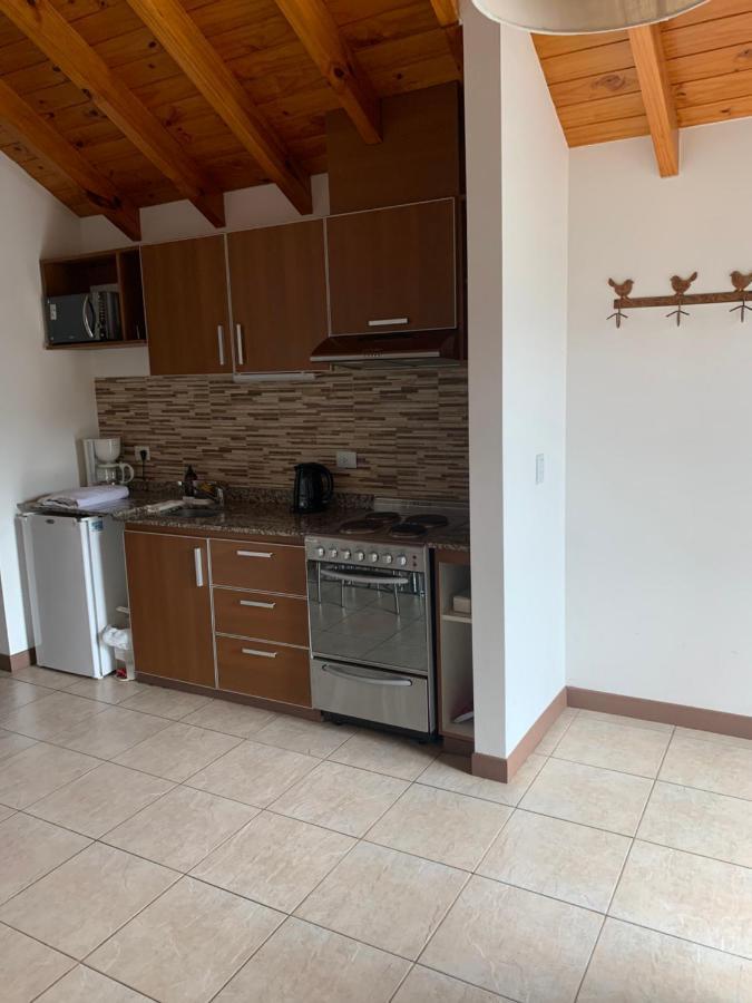 Departamento San Martin De Los Andes Centrico Y Moderno Exteriör bild